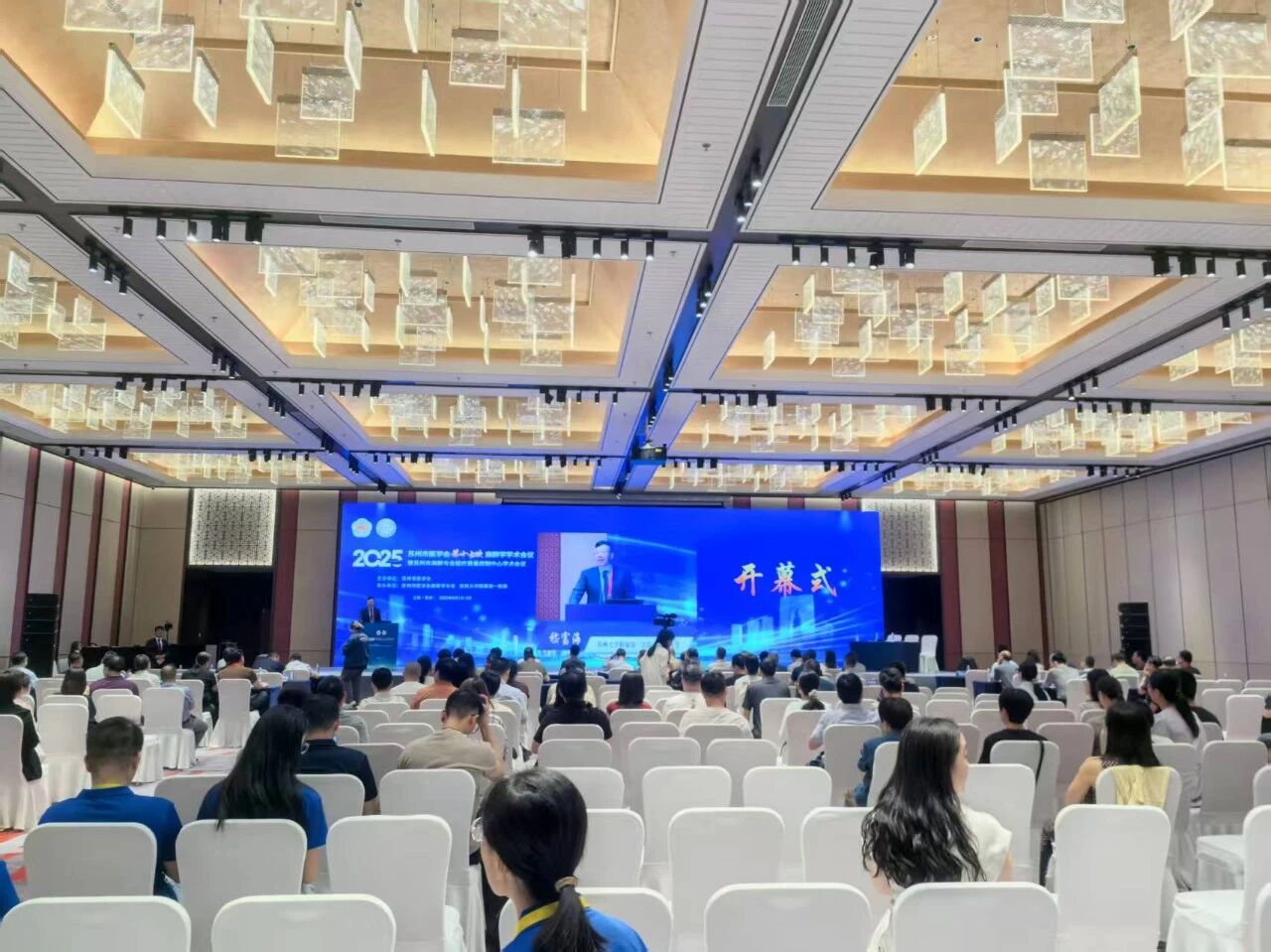 1764913261145037.jpg 2.jpg