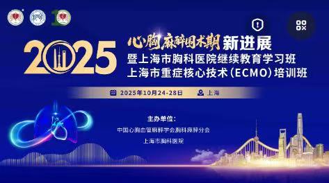 1764921136315037.jpg 4.jpg