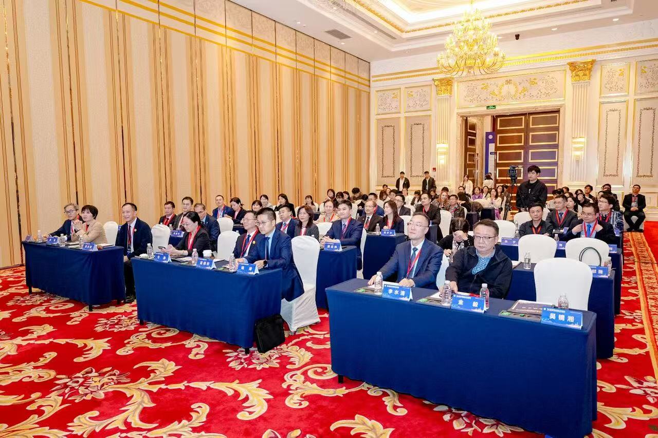 1764921284624864.jpg 5.jpg